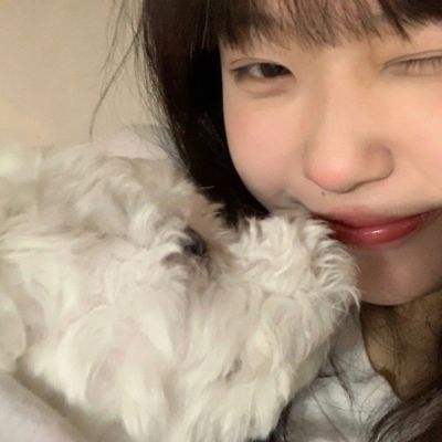 奇妙逻辑冒险下载安装手机版